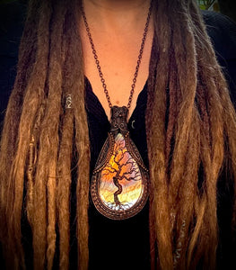 “The Sequoia Tree of Life” Wired Art