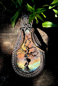 “The Sequoia Tree of Life” Wired Art