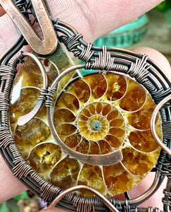 Hammered Ammonite Fossil Wire Wrapped Copper Pendant Necklace